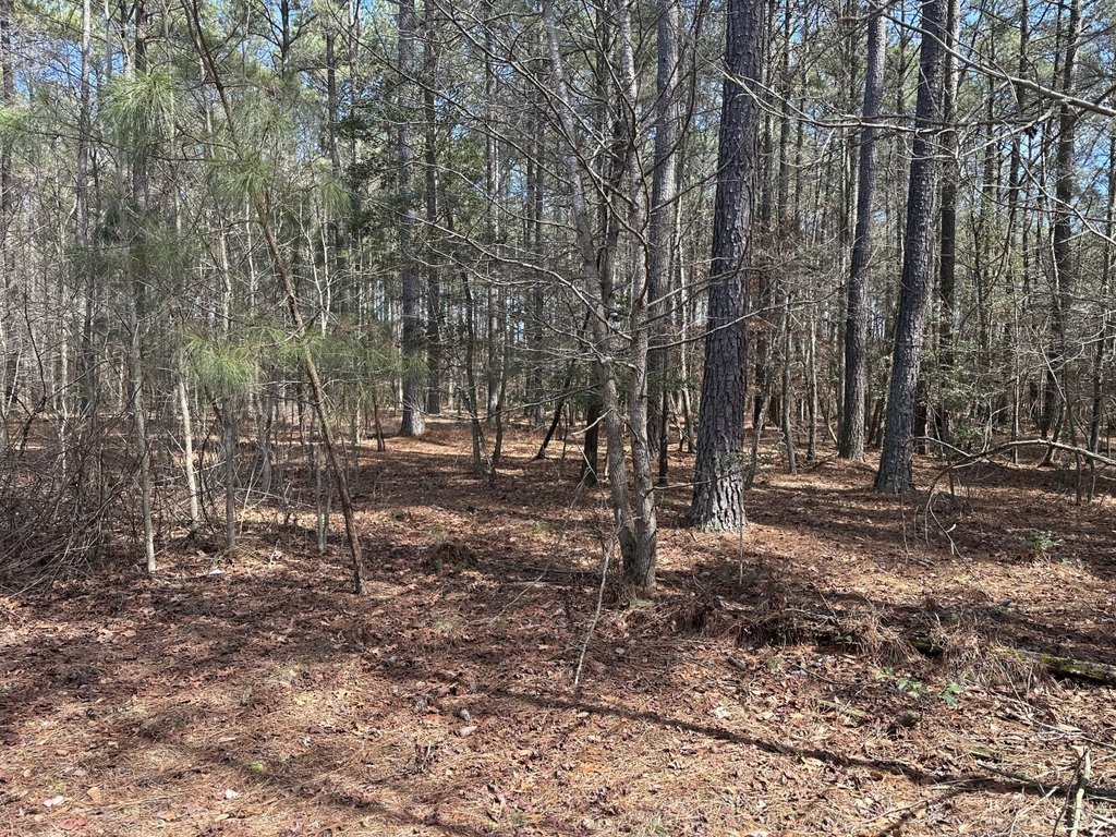 Picture 19