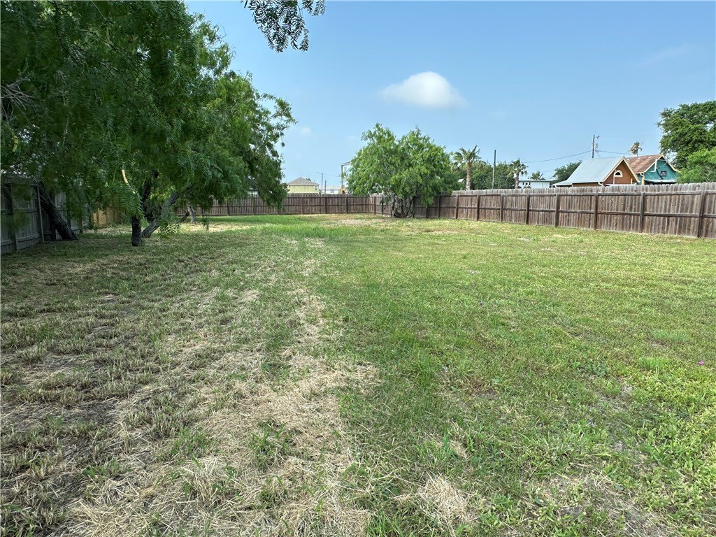 Picture 31