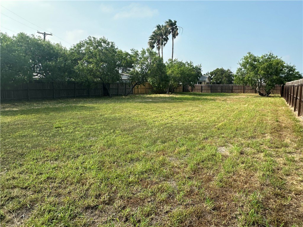Picture 30