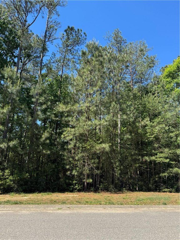 Golf Course View Homesite