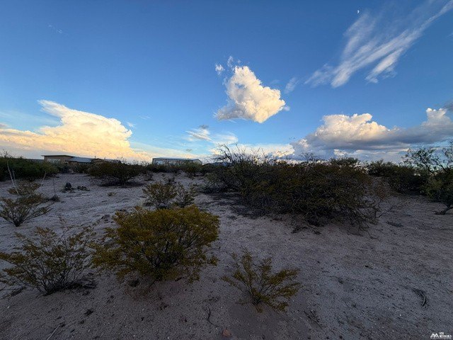 Picture 9