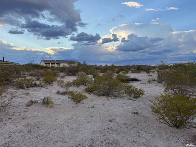 Picture 6