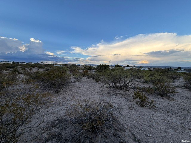 Picture 10