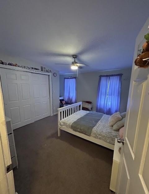 Picture 27