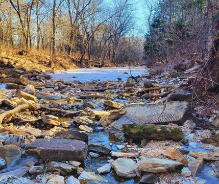 4 Acres with Creek Access