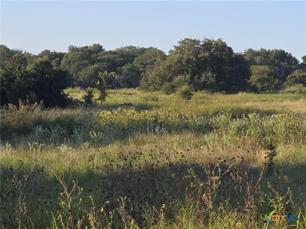 Oglesby, TX Vacant Land