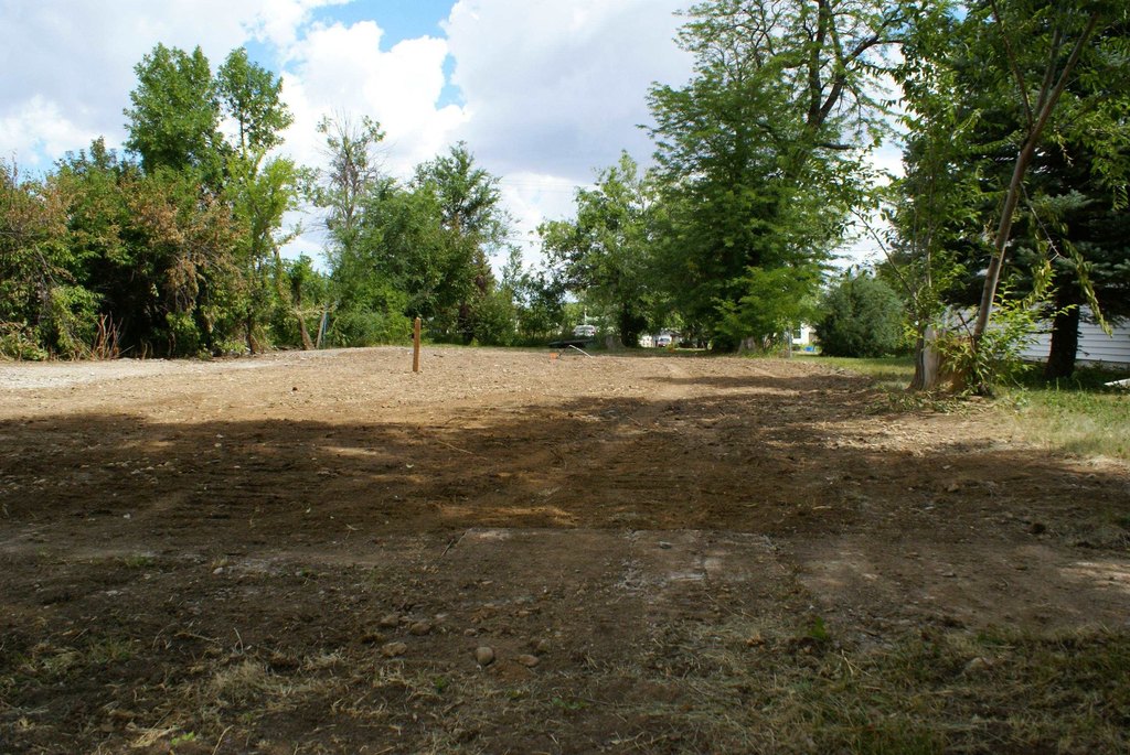 Picture 8