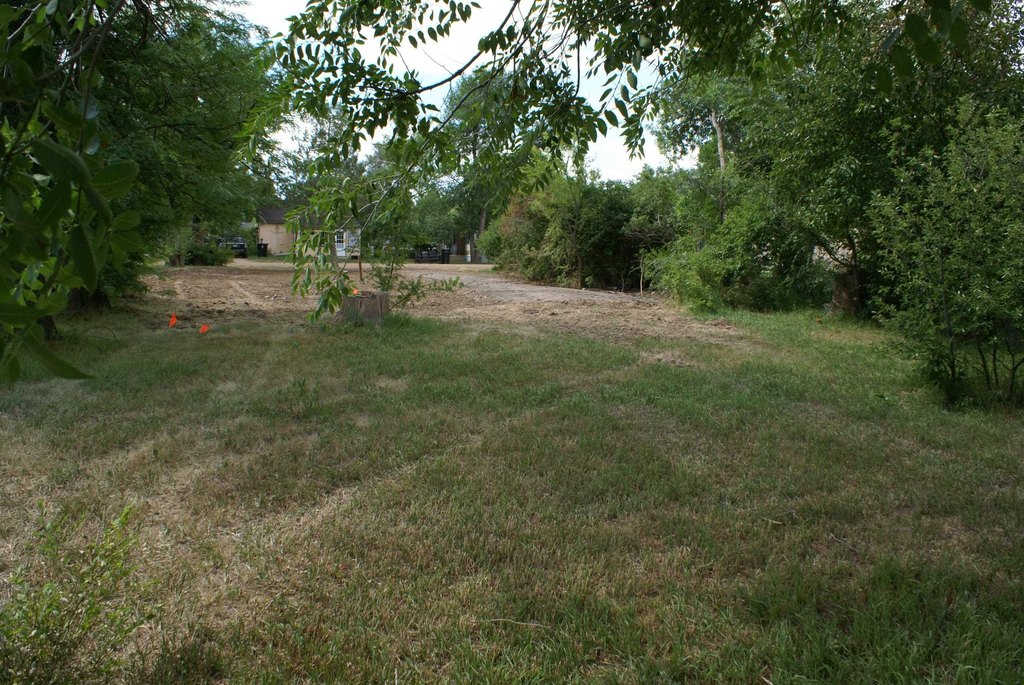 Picture 11
