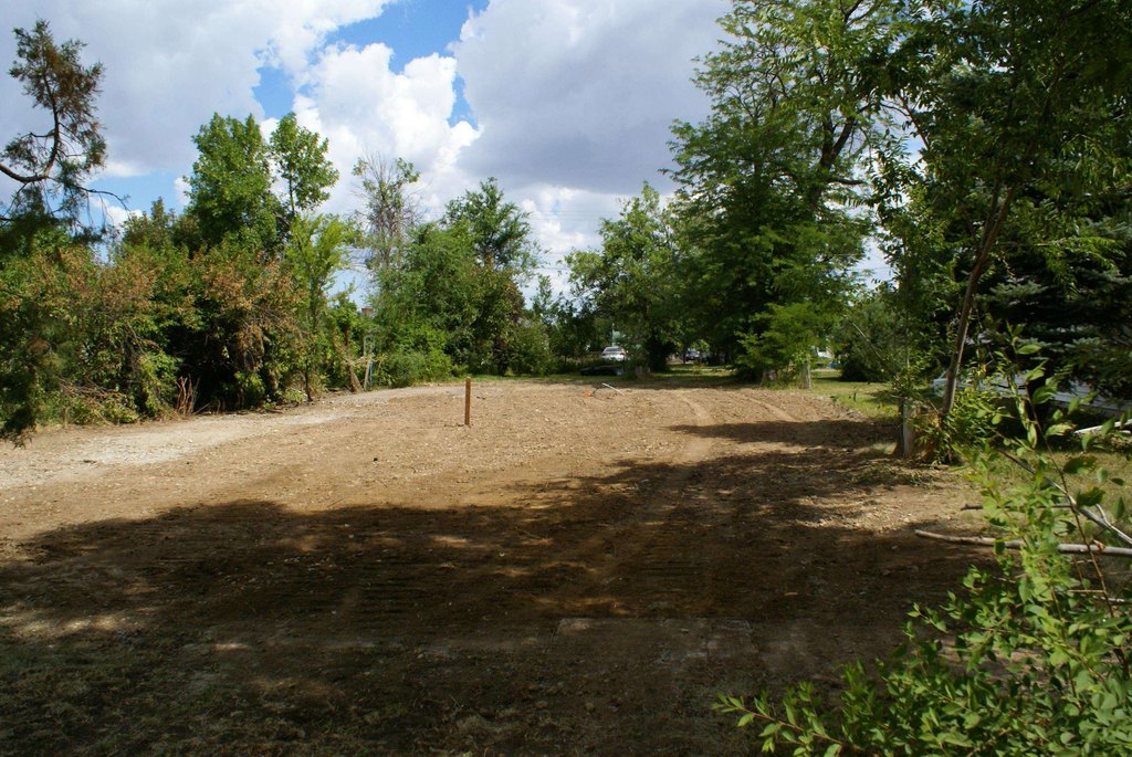 Picture 7
