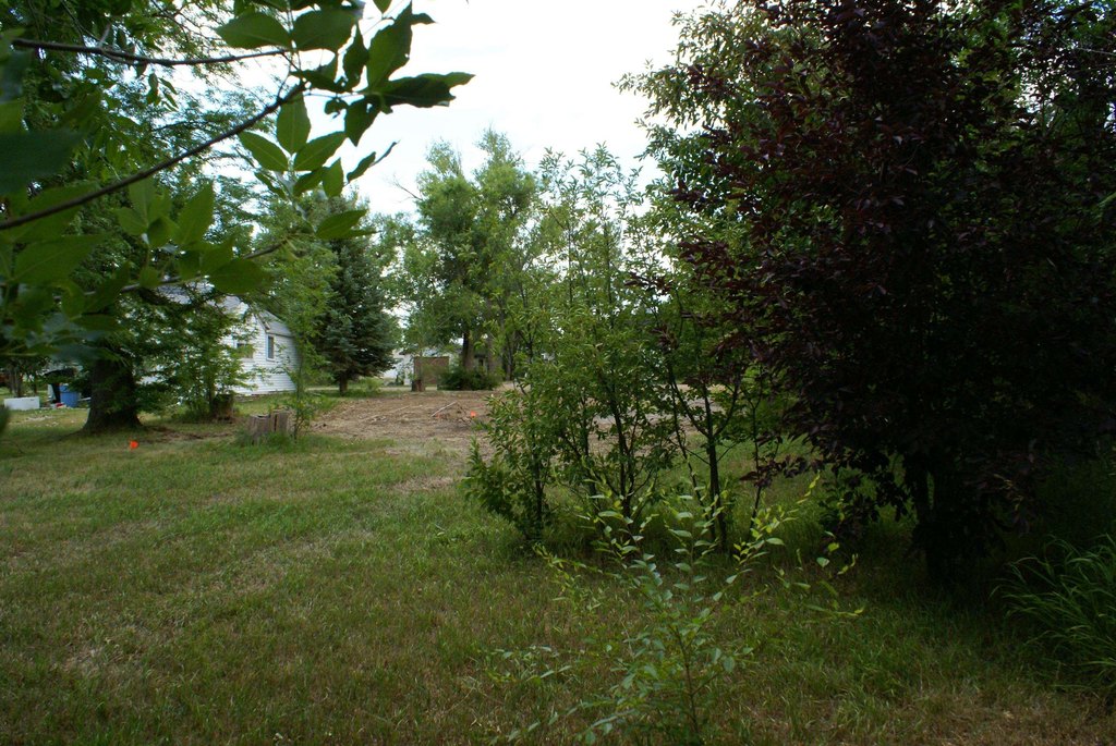 Picture 9