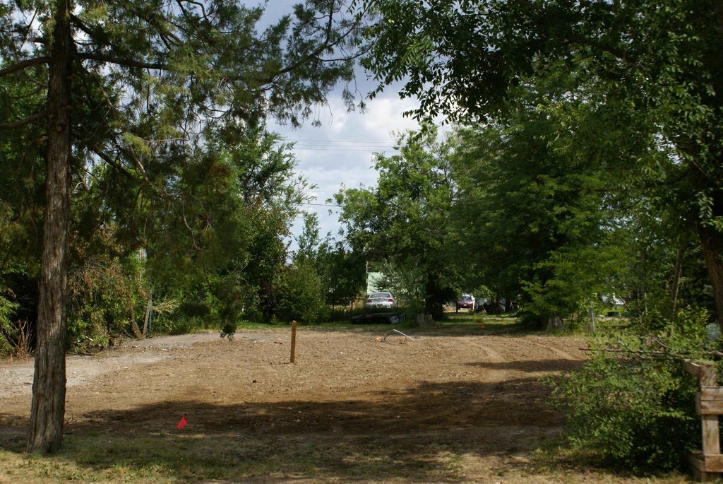 Picture 3