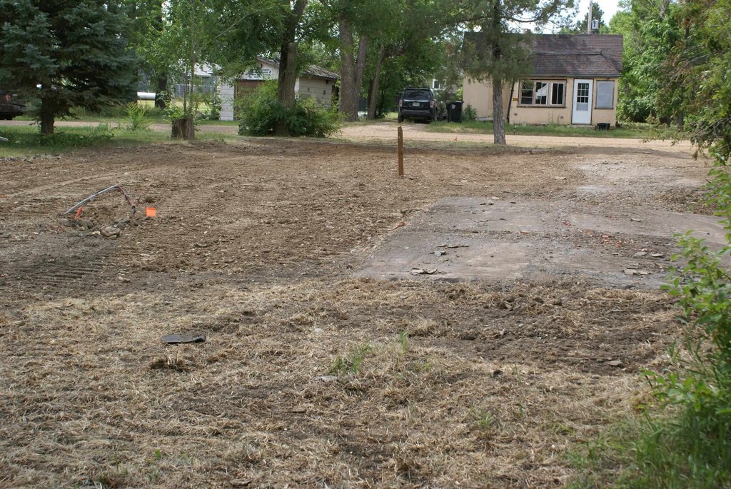 Picture 13