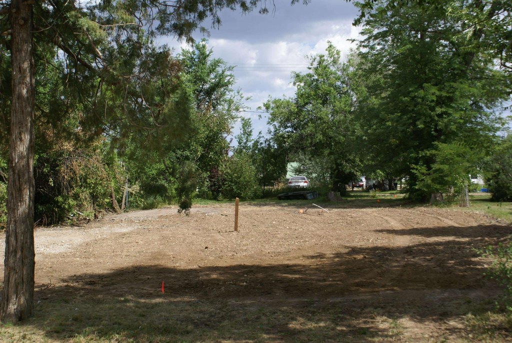 Picture 4