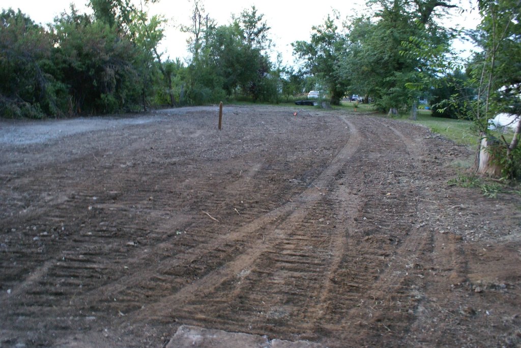 Picture 5