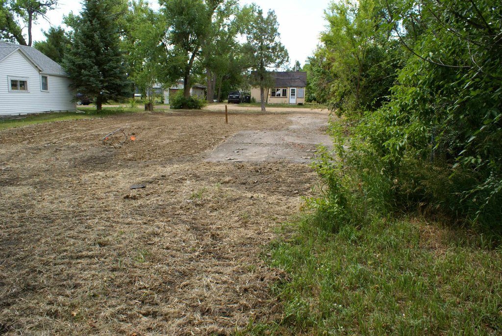 Picture 14
