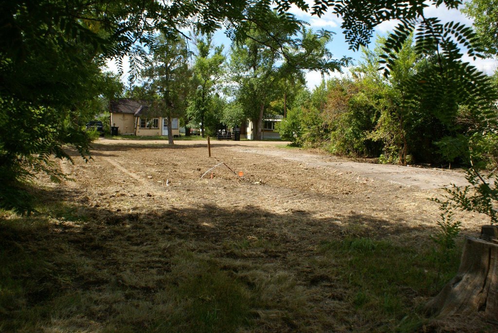 Picture 16