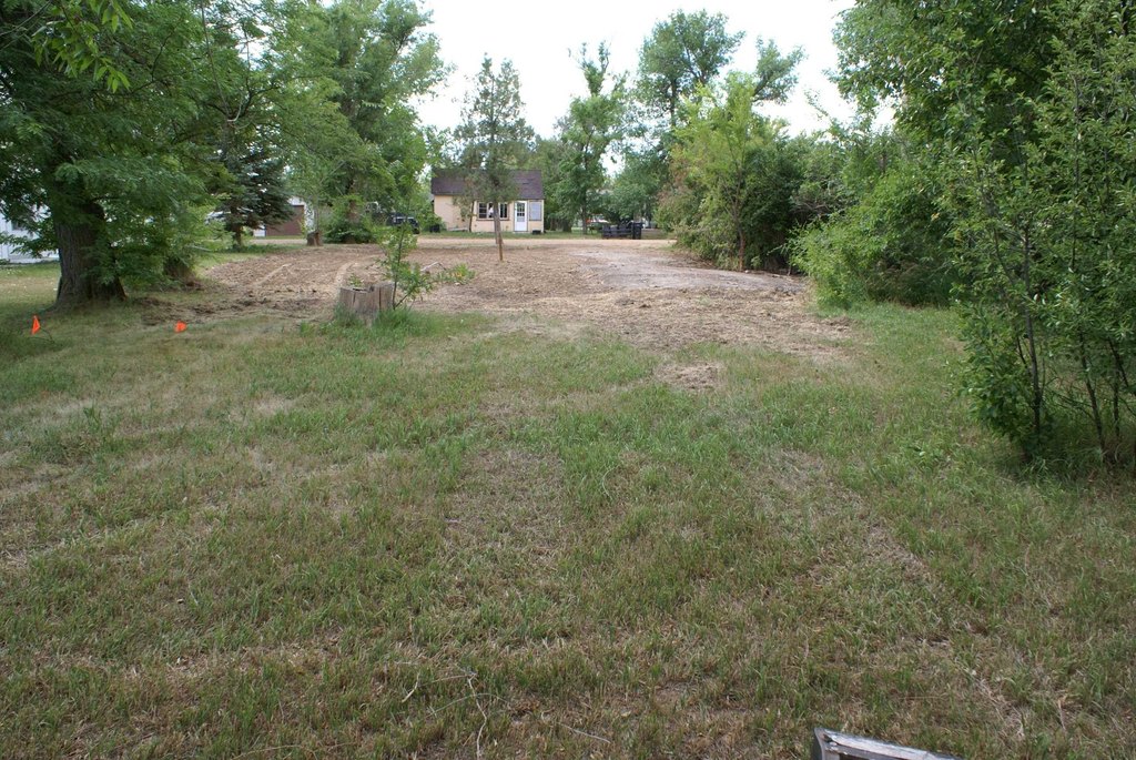 Picture 2