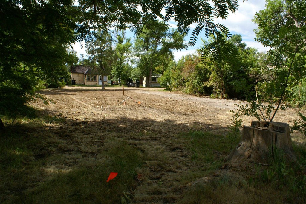 Picture 15