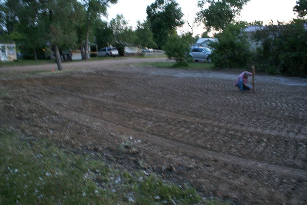 Picture 6
