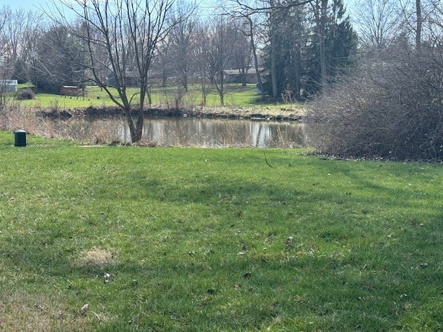 Picture 5