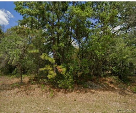 Land, Dunnellon, FL