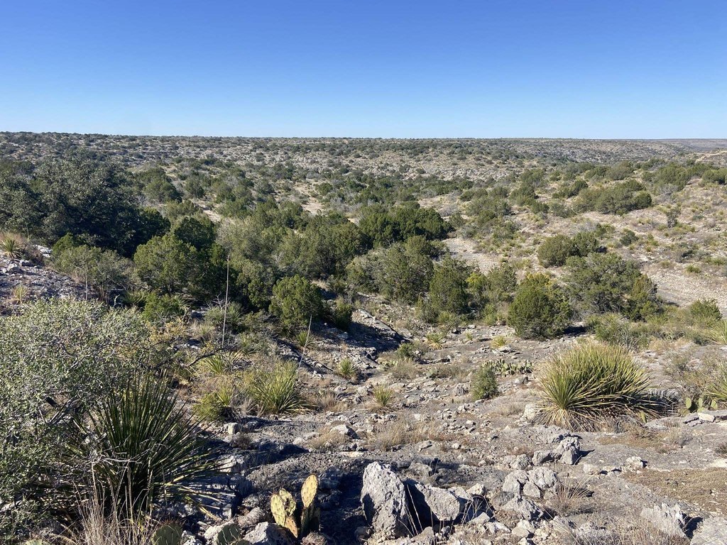 Picture 21