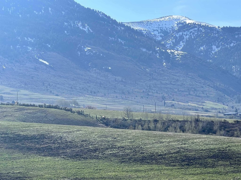 Picture 25