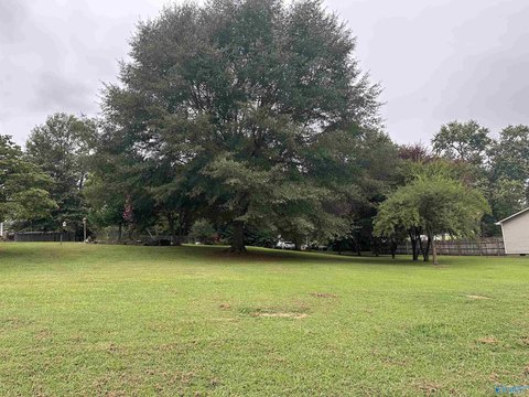 Residential Land in Brownsboro, AL