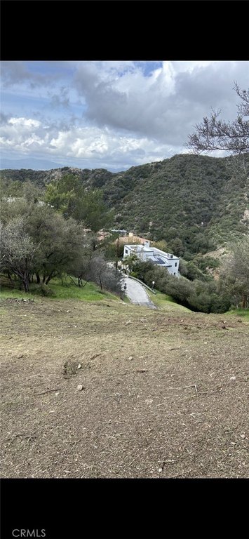 Picture 15
