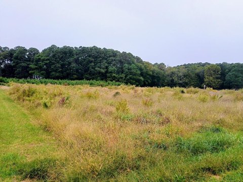 Land, MACHIPONGO, VA
