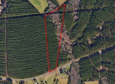 Pine Plantation Agricultural Land