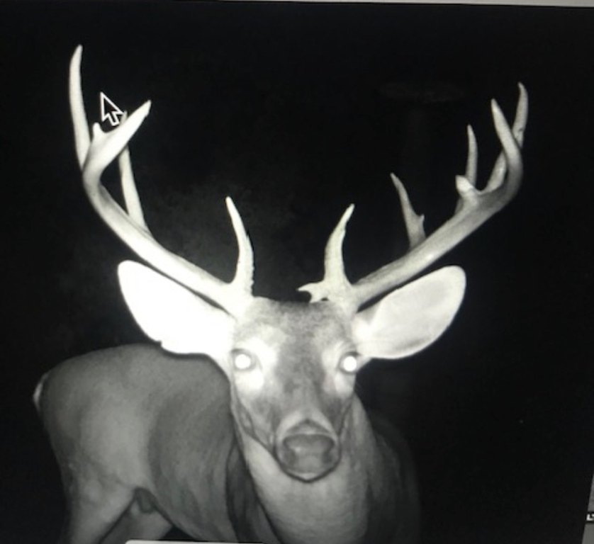 Picture 14