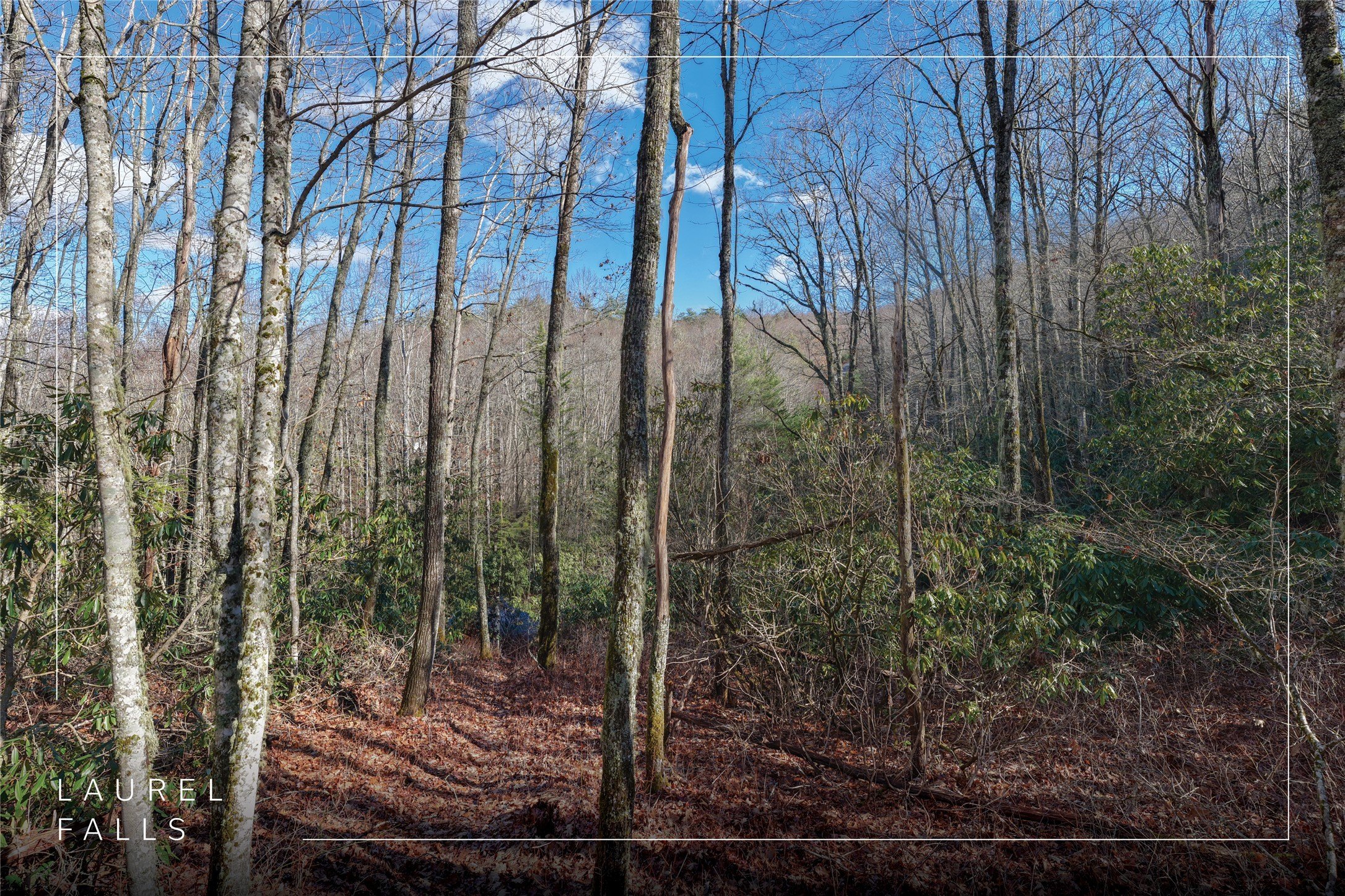 Land in Laurel Falls
