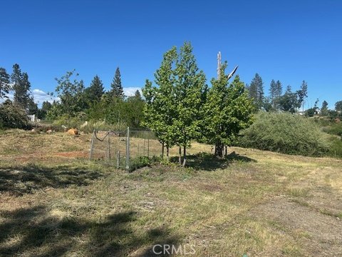 Paradise Building Lot Ready