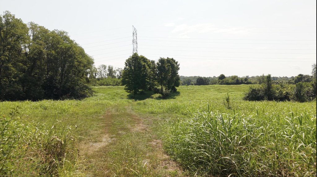Picture 8