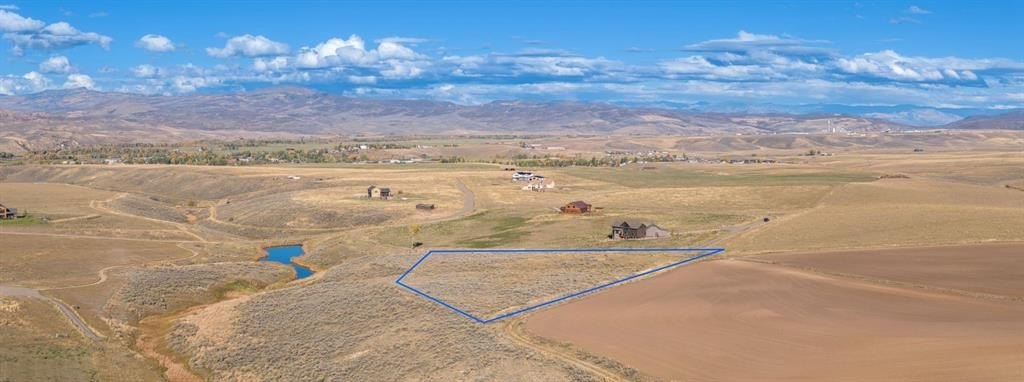 Picture 21