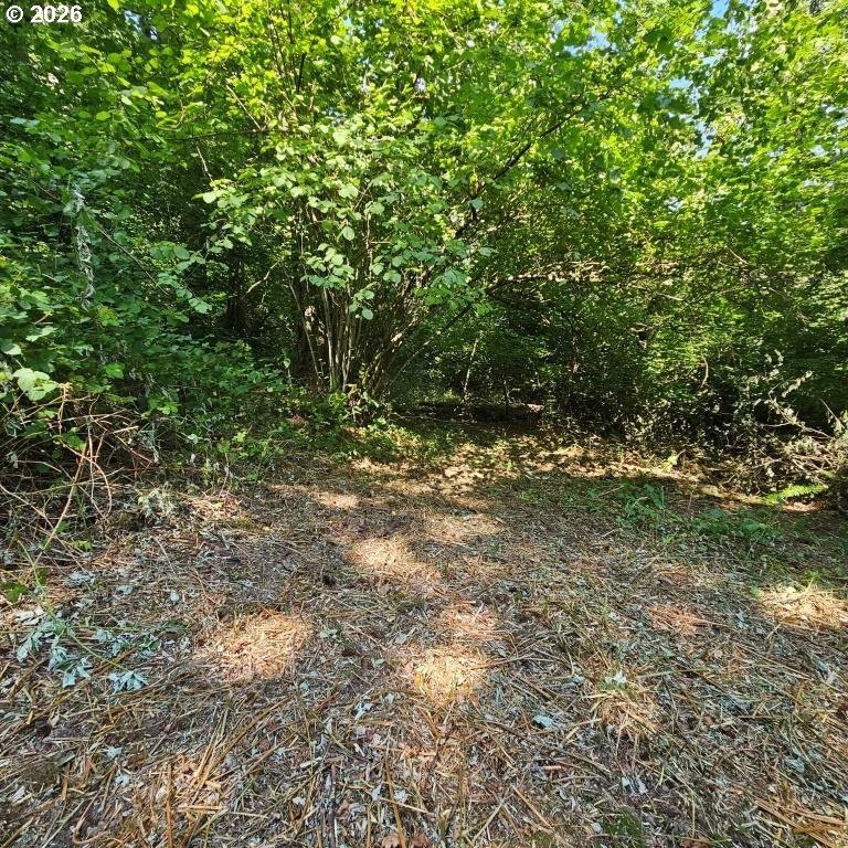 Picture 12
