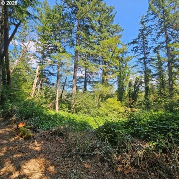 Land, Washougal, WA