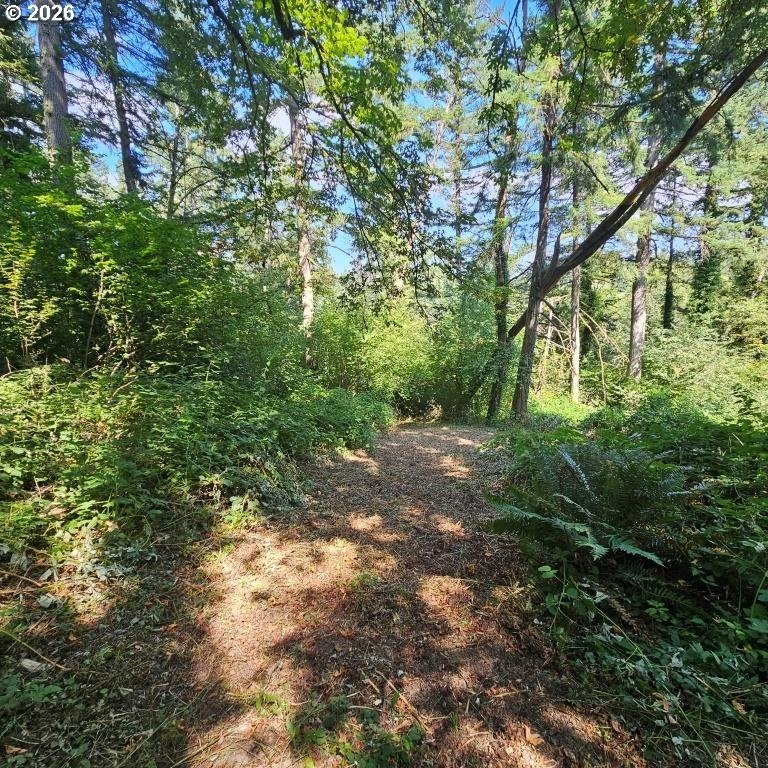 Picture 8