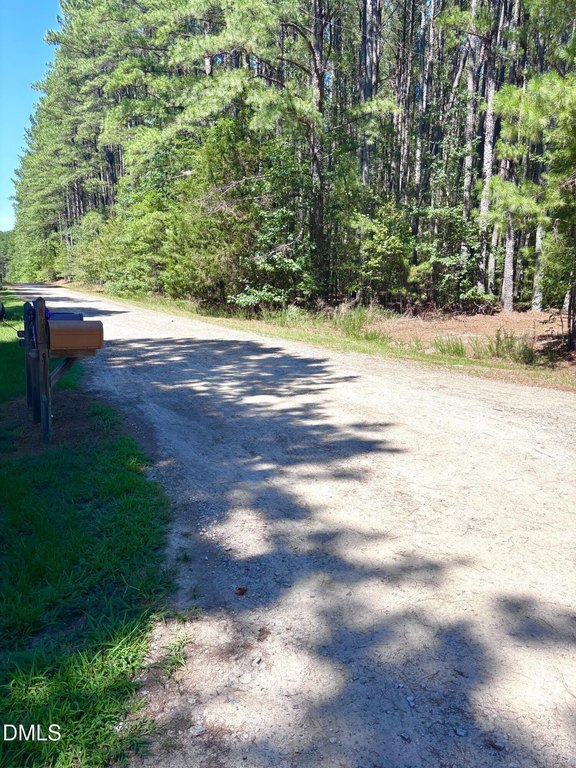 Picture 14