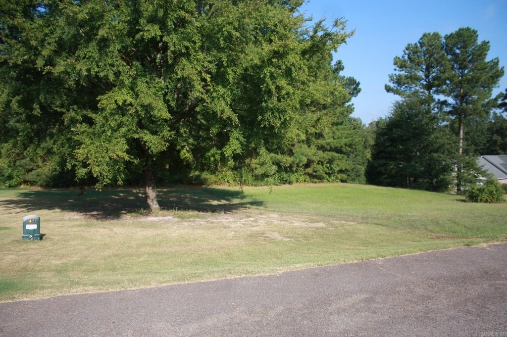 Picture 4