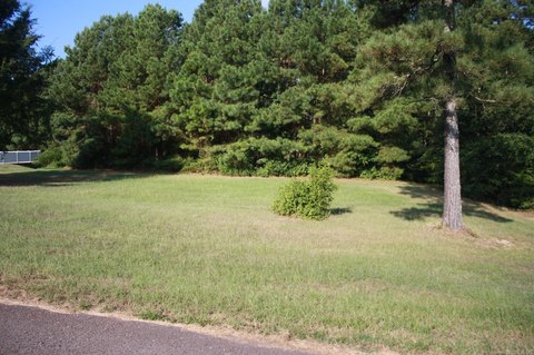 Nashville, AR Building Site