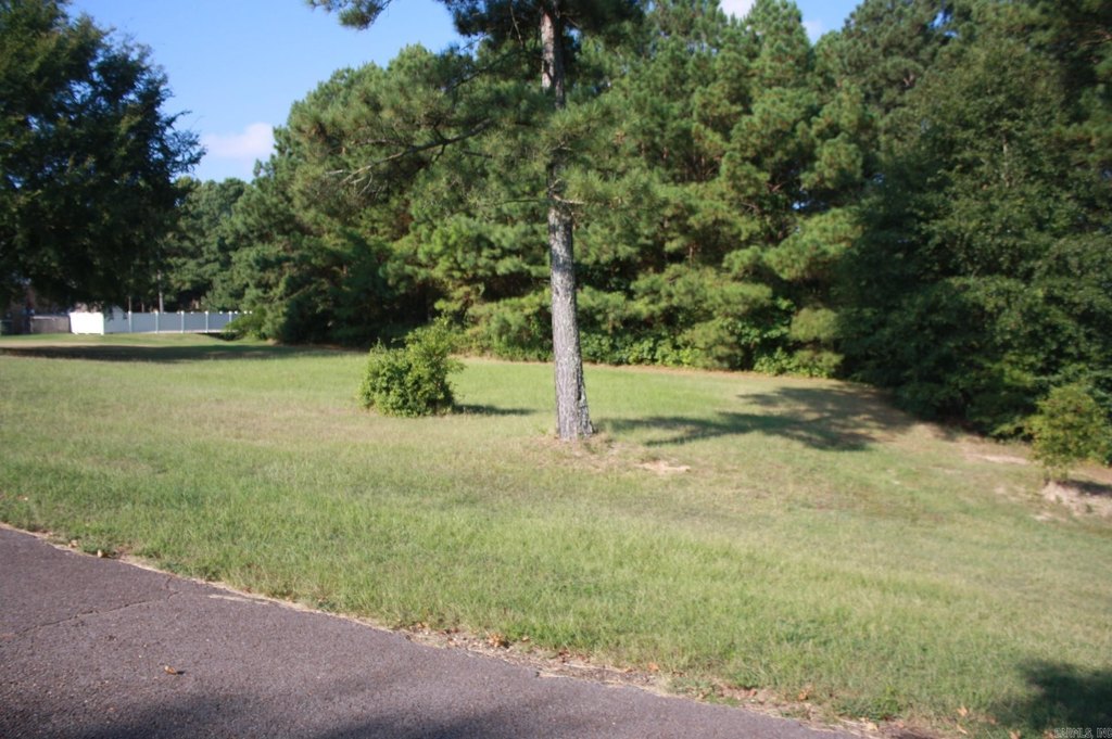 Picture 2