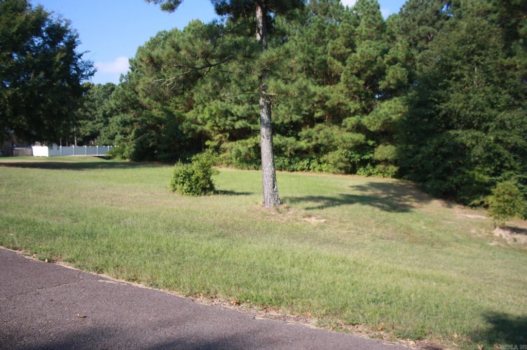 Picture 3