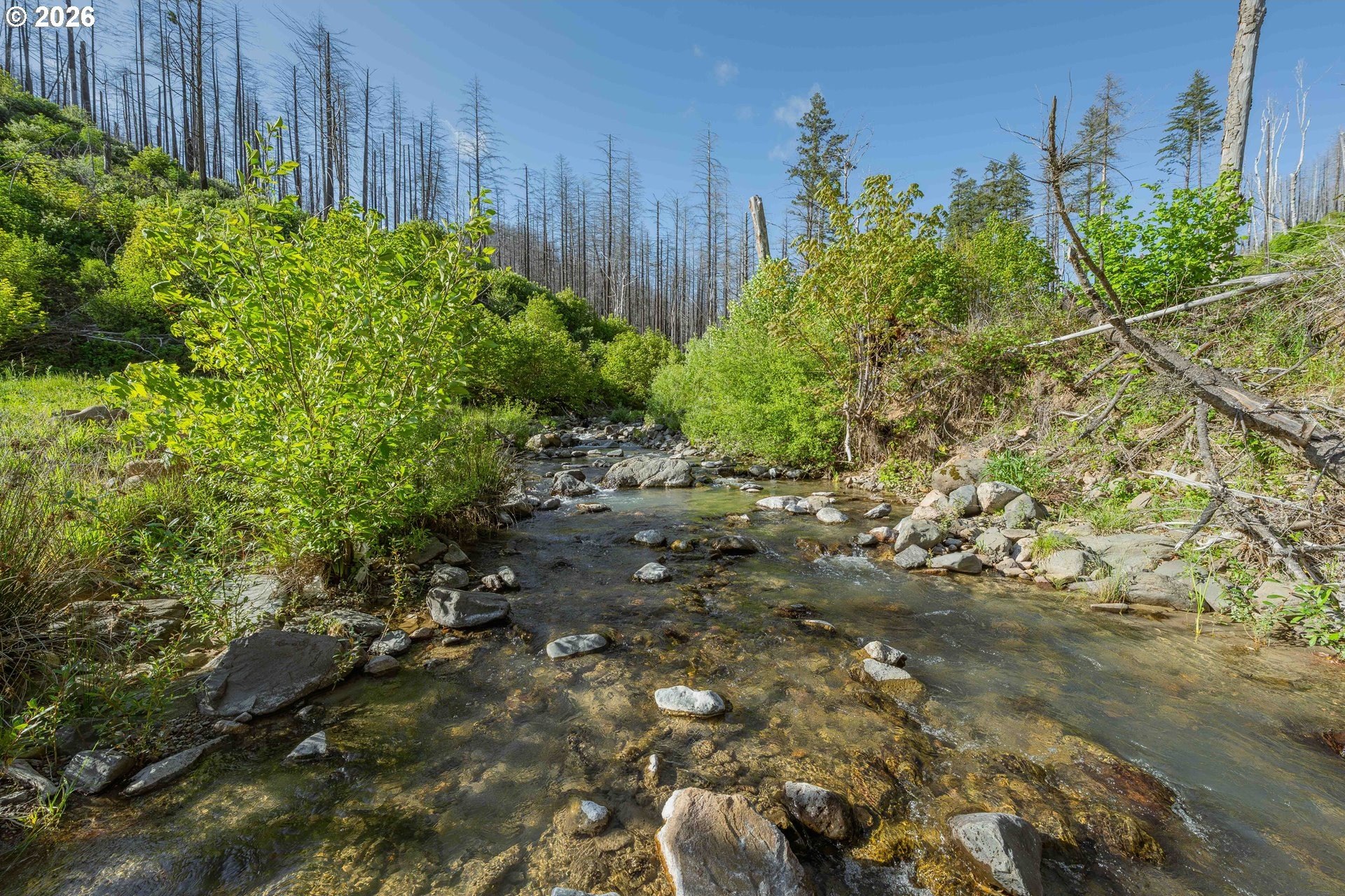 Idleyld Park Land For Sale
