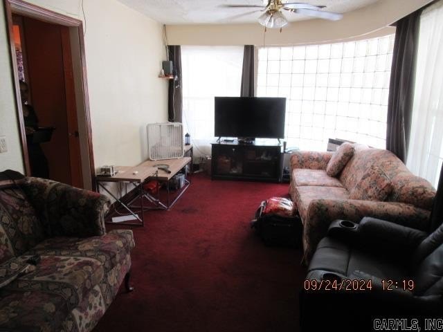 Picture 13