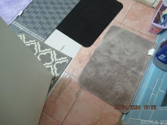 Picture 19