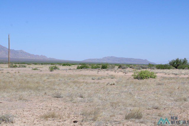Picture 13