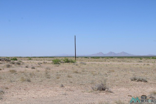 Picture 9