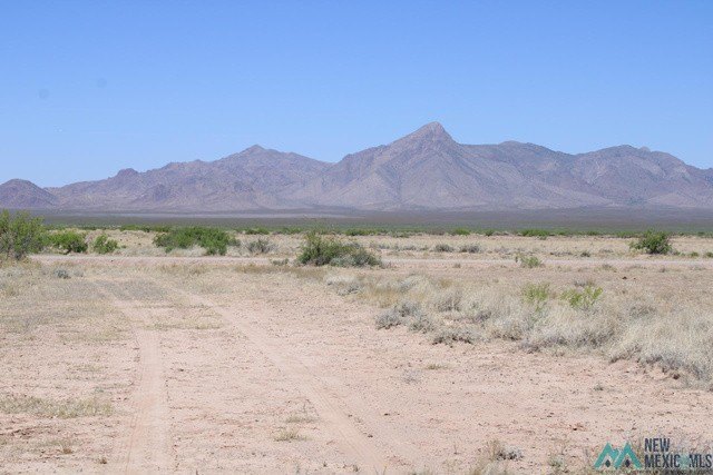 Picture 11
